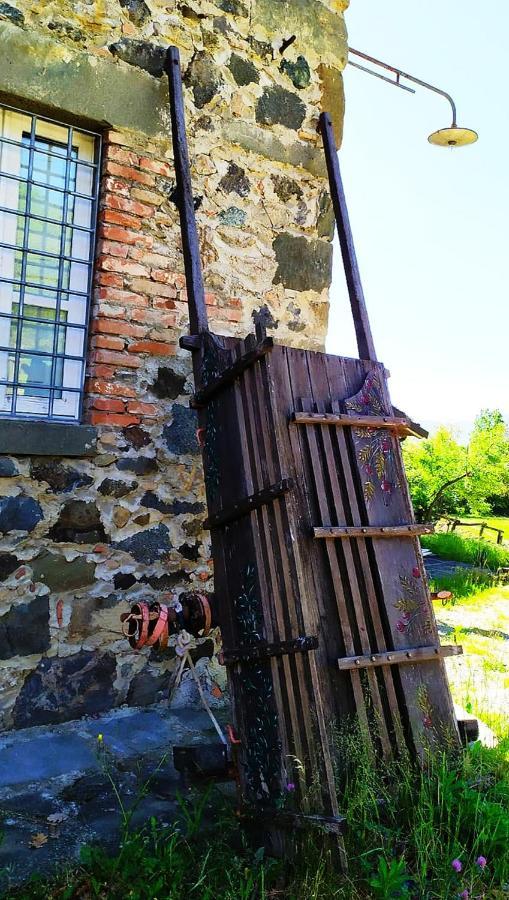 Agriturismo Paneolio Villa Collemandina Eksteriør billede