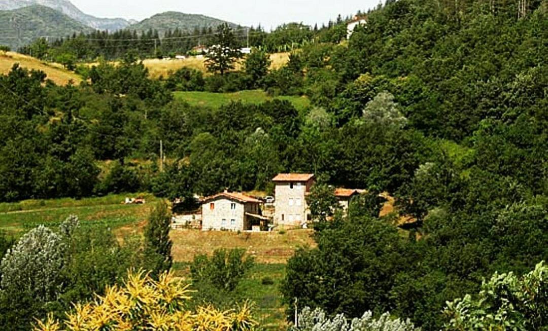 Agriturismo Paneolio Villa Collemandina Eksteriør billede
