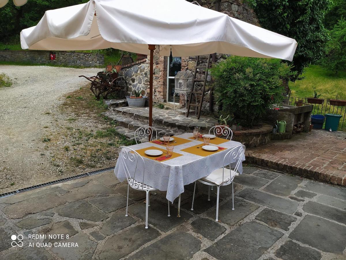 Agriturismo Paneolio Villa Collemandina Eksteriør billede