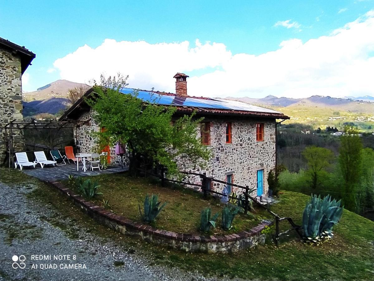 Agriturismo Paneolio Villa Collemandina Eksteriør billede