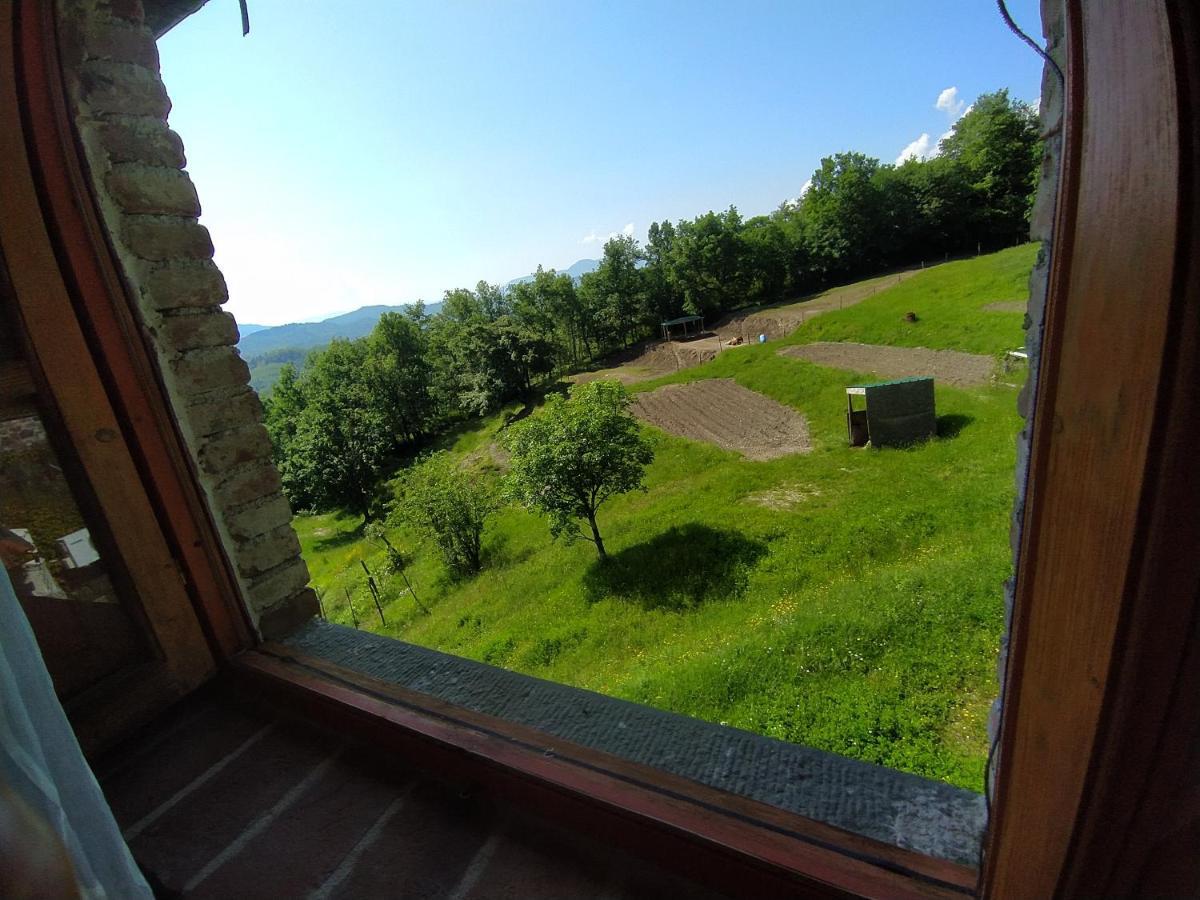 Agriturismo Paneolio Villa Collemandina Eksteriør billede